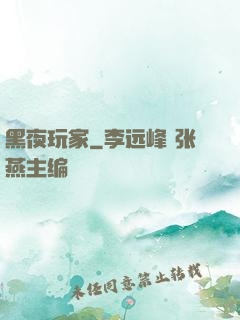 黑夜玩家